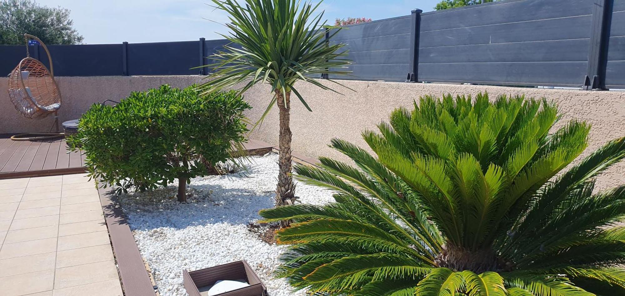 La Villa De L'Olivier Piscine Privee Et Parking 카르카손 외부 사진